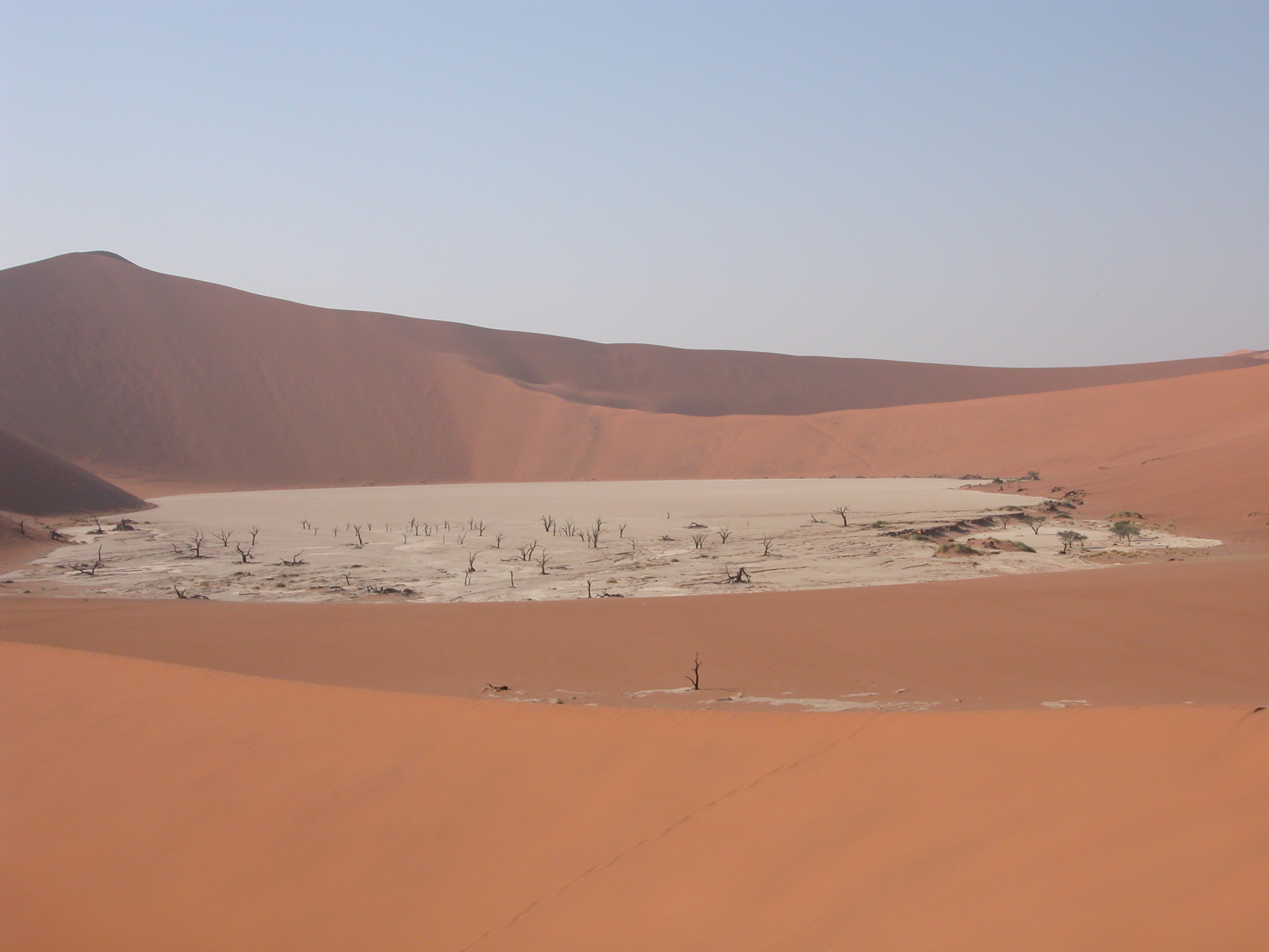 082_DSCN8523