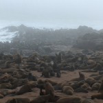 CapeCross_4