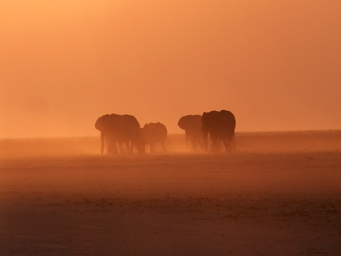 Etosha2_04