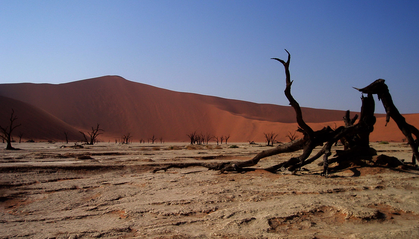 Désert du Namib