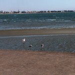 walvisbay_3